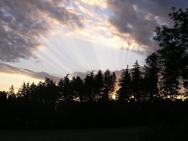 Klikni pro zvětšení Fotka